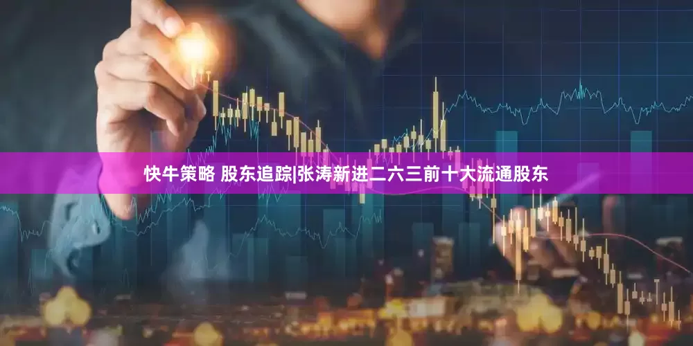快牛策略 股东追踪|张涛新进二六三前十大流通股东